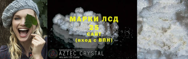 шишки Богородицк