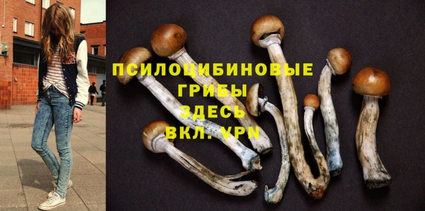наркотики Богданович