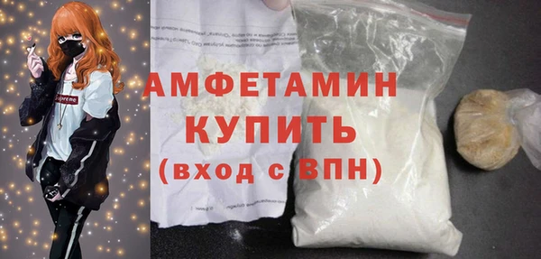 шишки Богородицк
