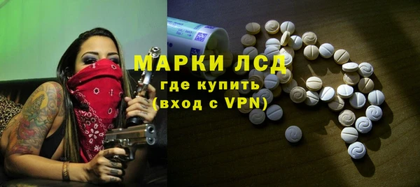 шишки Богородицк